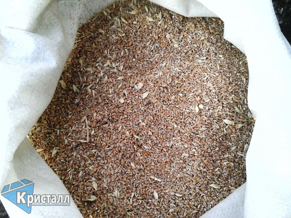 Зерноотходы пшеничные 40 кг