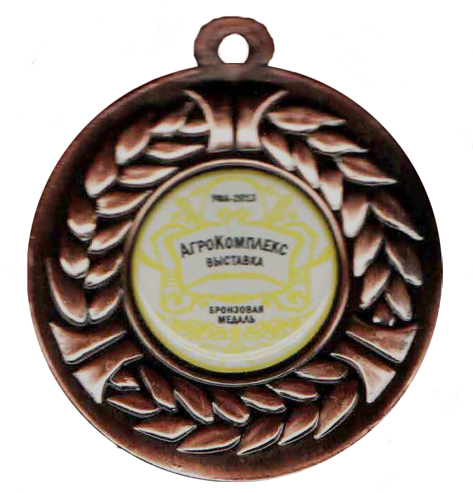 Медаль 2013